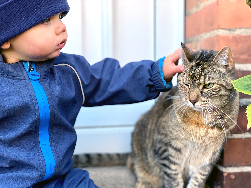 KinderundKatzen - Katzen und Kinder: Tipps für das Zusammenleben